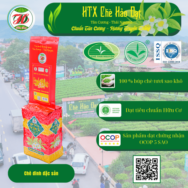 Chè Đinh Đặc Sản gói 200g - HTX Chè Hảo Đạt