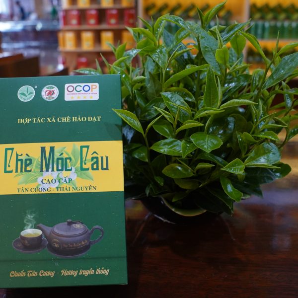 Chè Móc Câu_ Hộp trà ấm 200g ( 16 gói 12,5g) - HTX chè Hảo Đạt