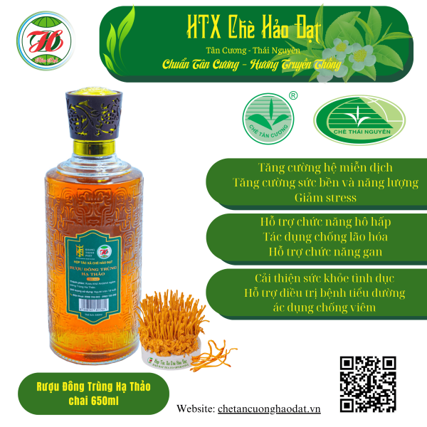 Rượu Đông Trùng Hạ Thảo 650ml - HTX chè Hảo Đạt